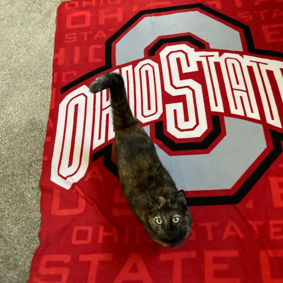 Meet the Posher - Picture 3 of 3